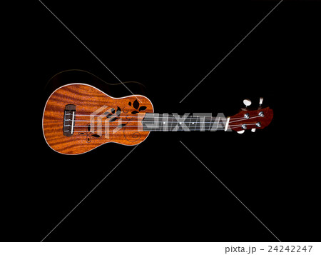 hawaii ukulele guitar isolated hawaii ukulele guitar isolated 24242247