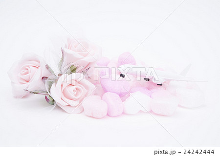 バラの花と白い飛行機の模型 24242444