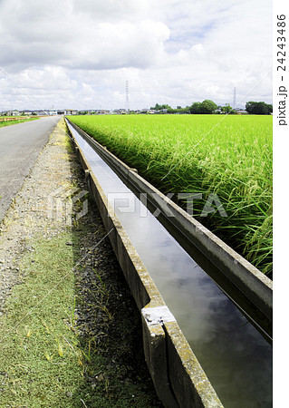 田んぼ 用水路 水路 農業用水の写真素材