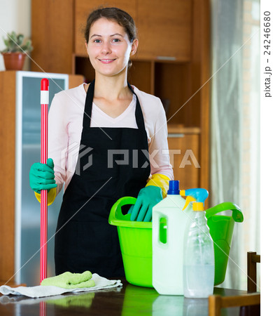 maid in apron dusting and wiping maid in apron dusting and wiping 24246680