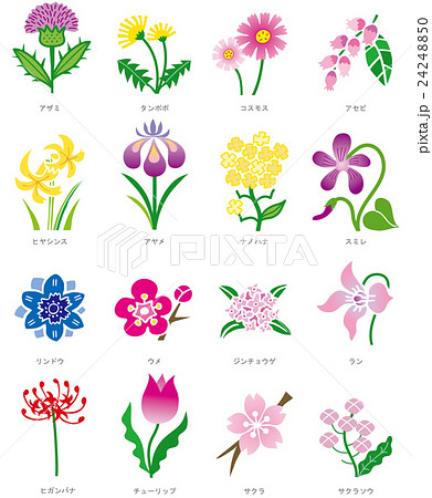 花01 24248850