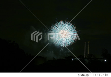 対岸より調布の花火を望む 24249216