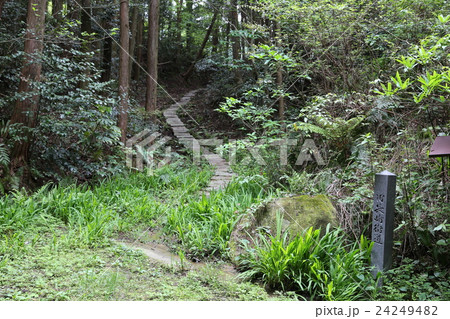 長崎街道の一里塚跡 長崎街道の一里塚跡 24249482