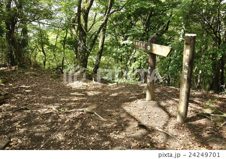 畦ヶ丸山頂 24249701