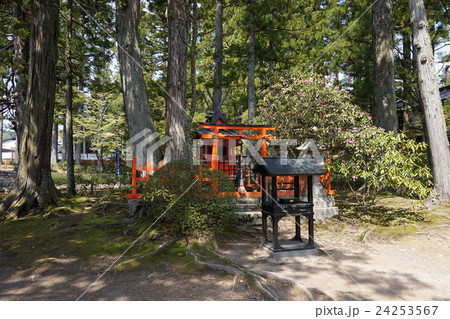 高野山のお寺 24253567