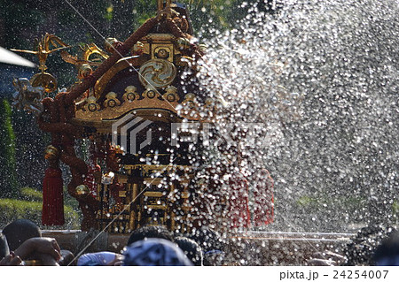 水かけ祭り 24254007