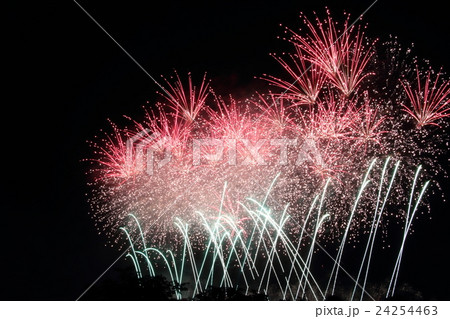 花火 24254463