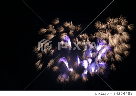 花火 24254485