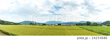 関ヶ原古戦場跡の全景 関ヶ原古戦場跡の全景 24254686