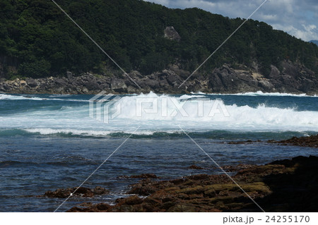 竹ケ島の海 24255170