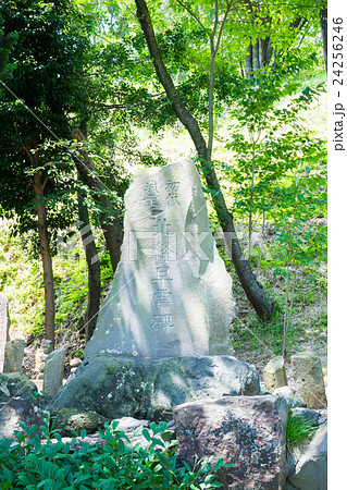 北条早雲碑 24256246