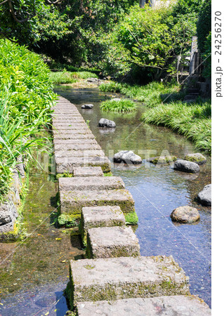 源兵衛川の遊歩道 24256270