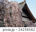 奈良氷室神社 24256562