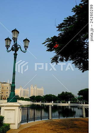 マカオ　コタイ地区の景色 24260299