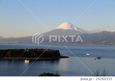 大瀬崎からの富士山 24260335