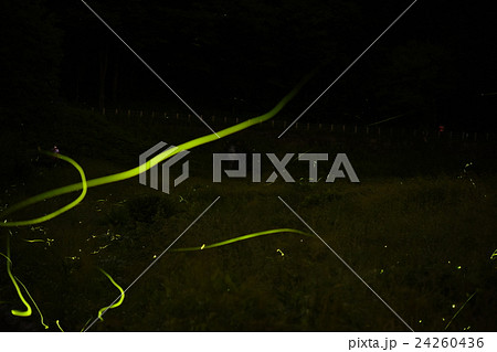 辰野ほたる祭り 24260436