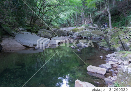 赤目四十八滝渓谷を流れる滝川、三重県、日本 赤目四十八滝渓谷を流れる滝川、三重県、日本 24260529