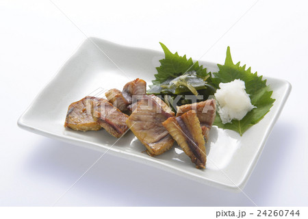 しびまぐろの腹皮 24260744