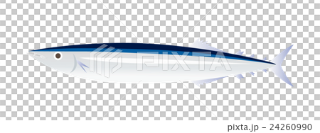 生秋刀魚 24260990