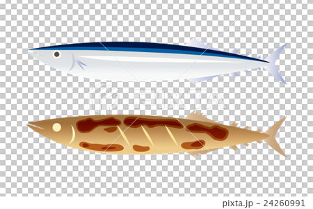 生秋刀魚和烤秋刀魚 24260991