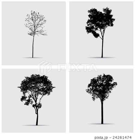 Set of vector tree silhouettes. Set of vector tree silhouettes. 24261474