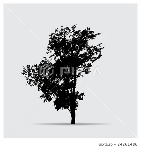Vector tree silhouettes Vector tree silhouettes 24261486