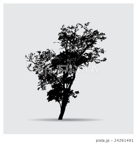 Vector tree silhouettes 24261491