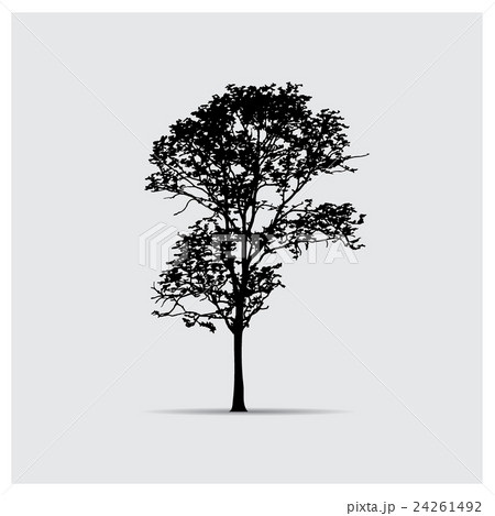 Vector tree silhouettes Vector tree silhouettes 24261492