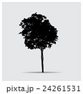 Vector tree silhouettes 24261531