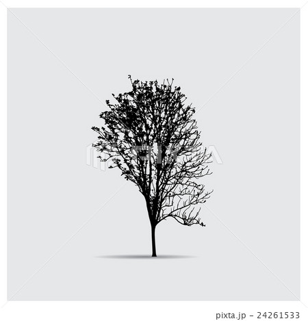 Vector tree silhouettes Vector tree silhouettes 24261533