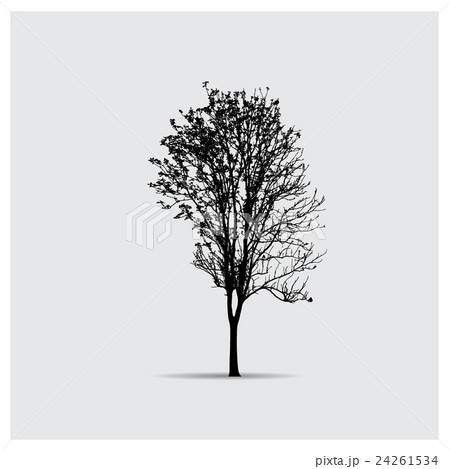 Vector tree silhouettes Vector tree silhouettes 24261534