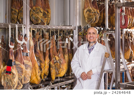 butcher hanging wurst and jamon butcher hanging wurst and jamon 24264648