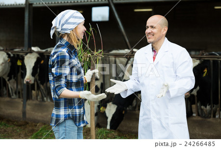 Female worker and mature veterinary in farm Female worker and mature veterinary in farm 24266485