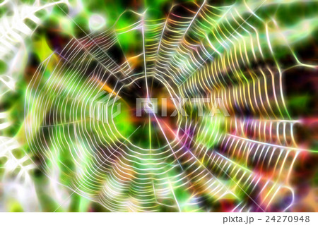 Abstract spider web Abstract spider web 24270948