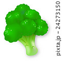 ブロッコリー　緑黄色野菜　アブラナ科　かわいい　イラスト 24273150