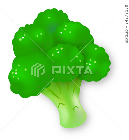 ブロッコリー 緑黄色野菜 アブラナ科 かわいい イラストのイラスト素材