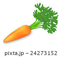 人参　にんじん　ニンジン　かわいい　イラスト 24273152