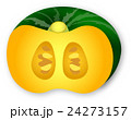 かぼちゃ　緑黄色野菜　かわいい　イラスト 24273157