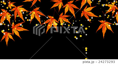 秋 もみじ 秋 もみじ 24273293