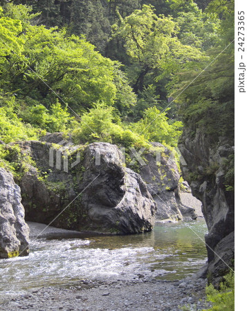 鳩ノ巣 鳩ノ巣 24273365
