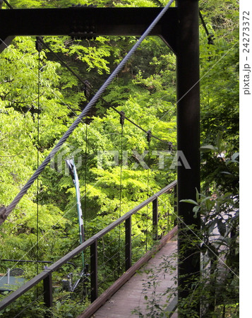 鳩ノ巣 鳩ノ巣 24273372