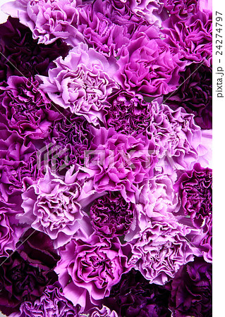 敬老の日 24274797