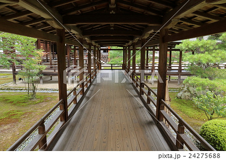 京都 大覚寺 村雨の廊下 京都 大覚寺 村雨の廊下 24275688
