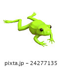 カエルの3Dレンダリング画像 24277135