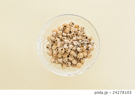 タイガーナッツ イエローバック タイガーナッツ イエローバック 24278103