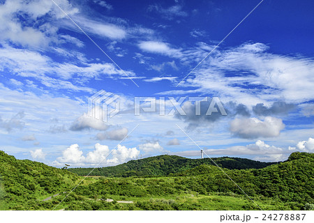 葉山 里山 大楠山 葉山 里山 大楠山 24278887