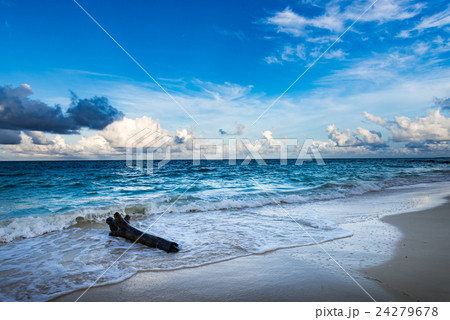 ビーチ、流木、海、風景、沖縄。の写真素材 [24279678] - PIXTA