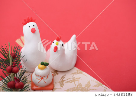 鶏の家族 24281198