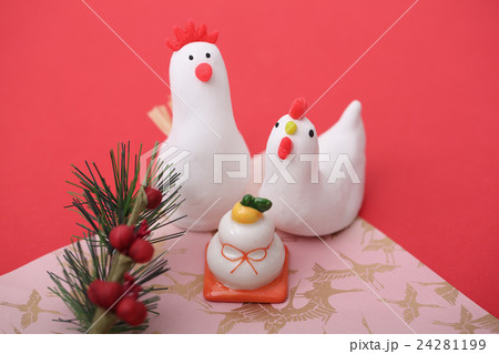 鶏の家族 24281199