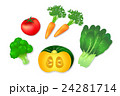 緑黄色野菜　カラフル　かわいい　イラスト 24281714
